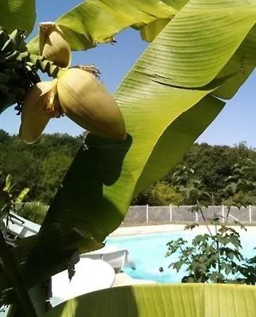 4 Etoiles - Piscine - Ccbecdi 4*